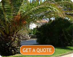 snow plowing get a quote